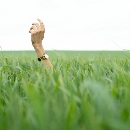 Accompagnement psychologique à distance : est-ce votre solution ?